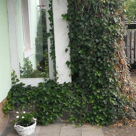 Appartement Eifel Im Haus Sybille Kelberg Kültér fotó