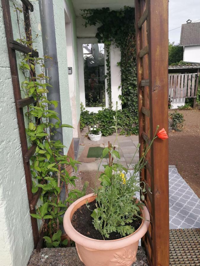 Appartement Eifel Im Haus Sybille Kelberg Kültér fotó
